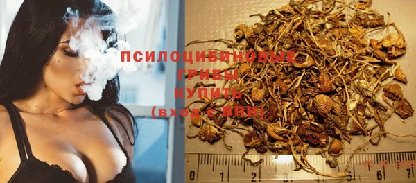 тгк Алексин