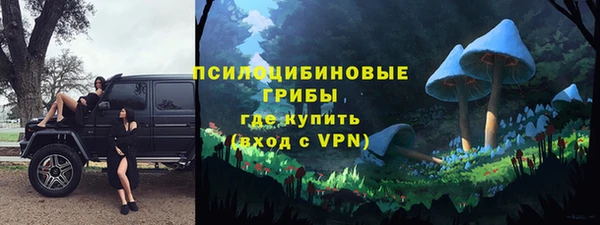 дживик Алексеевка